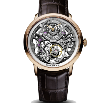 Arnold & Son UTTE_Skeleton_front_hr