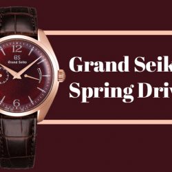 Grand Seiko Spring Drive