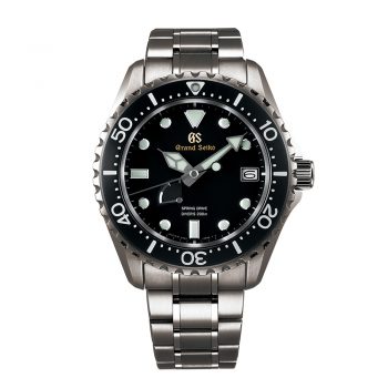 SBGA231